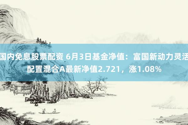 国内免息股票配资 6月3日基金净值：富国新动力灵活配置混合A最新净值2.721，涨1.08%