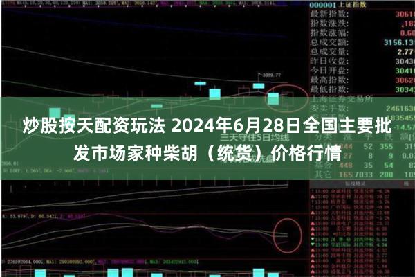 炒股按天配资玩法 2024年6月28日全国主要批发市场家种柴胡（统货）价格行情