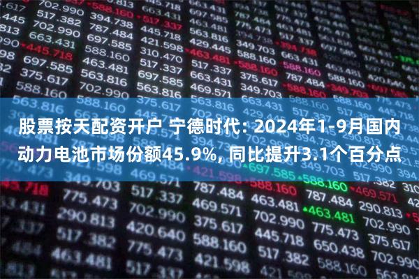 股票按天配资开户 宁德时代: 2024年1-9月国内动力电池市场份额45.9%, 同比提升3.1个百分点